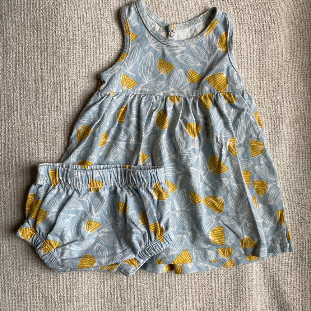 Winter Water Factory dress & bloomers, sz 6 months